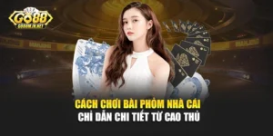 Cách Chơi Bài Phỏm Nhà Cái - Chỉ Dẫn Chi Tiết Từ Cao Thủ 