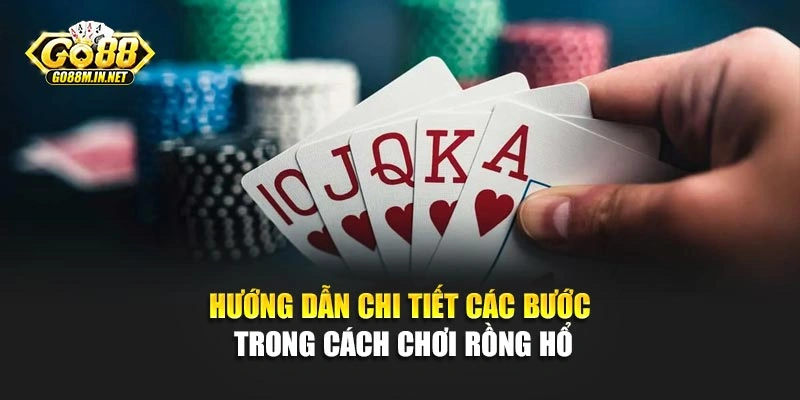 Hướng dẫn chi tiết các bước trong cách chơi Rồng Hổ